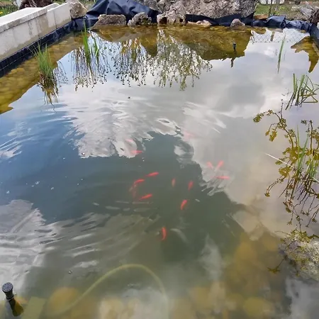 Rum i privatbostad Eszter-lak Monostorapáti