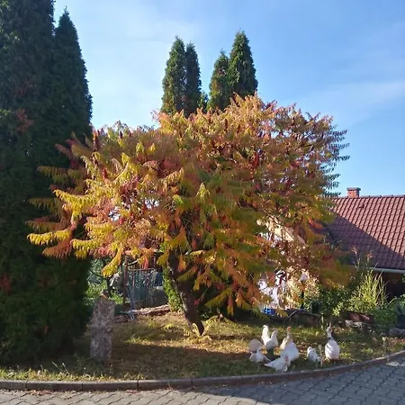 Eszter-lak Homestay *