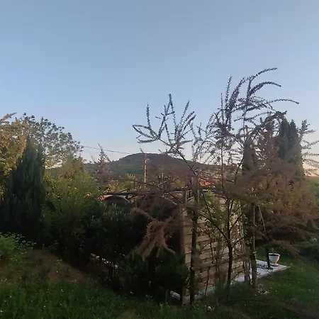 Eszter-lak *