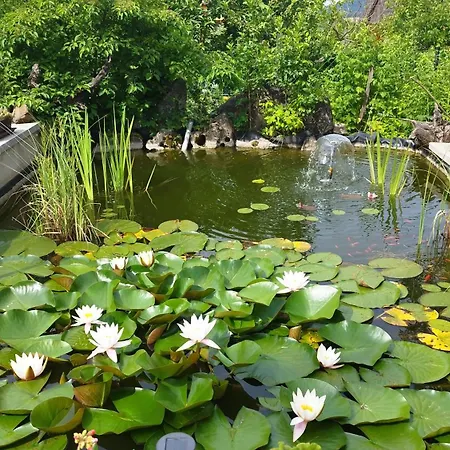 Eszter-lak Homestay *