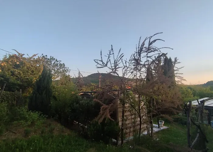 Eszter-lak *